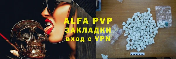 прущие грибы Вязьма