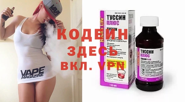 прущие грибы Вязьма