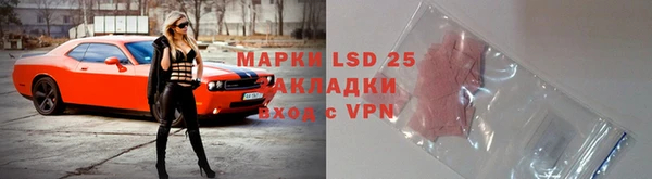 прущие грибы Вязьма