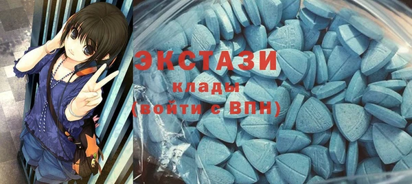 прущие грибы Вязьма