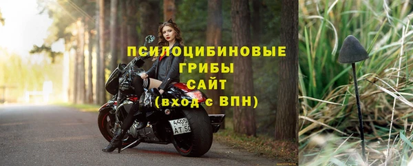 прущие грибы Вязьма