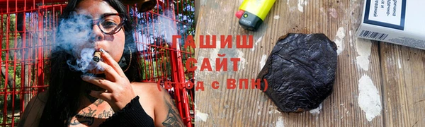 прущие грибы Вязьма