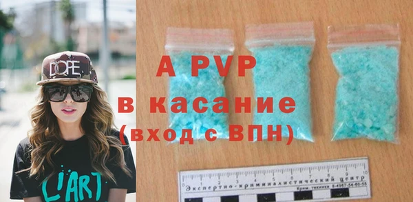 прущие грибы Вязьма