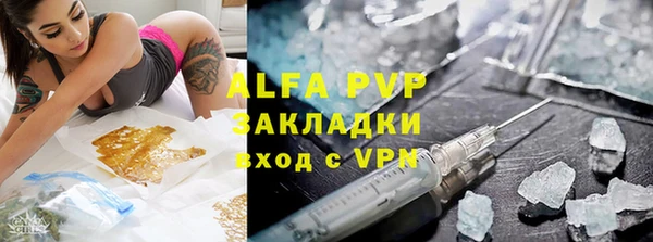 прущие грибы Вязьма