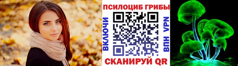 Галлюциногенные грибы GOLDEN TEACHER  Новошахтинск 